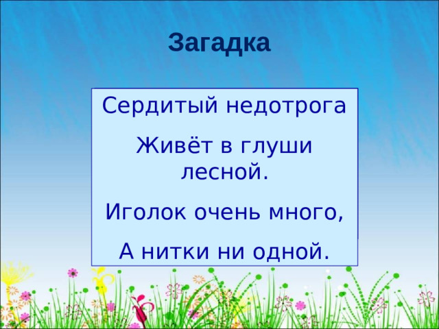 Загадка Сердитый недотрога Живёт в глуши лесной. Иголок очень много, А нитки ни одной.