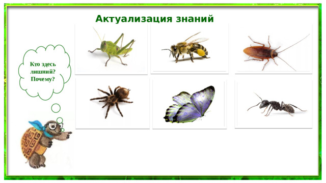 Актуализация знаний Кто здесь лишний? Почему?