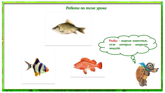 Работа по теме урока  Рыбы – водные животные, тело которых покрыто чешуёй.
