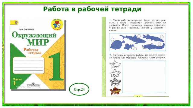Работа в рабочей тетради Стр.24