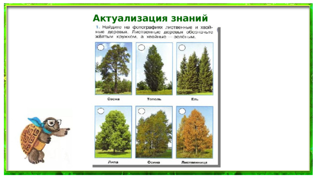 Актуализация знаний