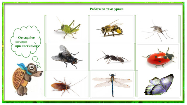 Работа по теме урока Прыгает пружинка -  Зелёная спинка -  С травы на былинку,  С ветки на тропинку. Домовитая хозяйка  Полетает над лужайкой,  Похлопочет над цветком -  Он поделится медком. Летит, пищит,  Ножки длинные тащит,  Случай не упустит:  Сядет и укусит.  - Отгадайте загадки про насекомых Надевает эта крошка  Платье красное в горошек.  И летать умеет ловко  Это… Не птица, а летает,  С хоботом, а не слон,  Никто не приручает,  А на нас сама садится. Кто они? Откуда! Чьи?  Льются чёрные ручьи:  Дружно маленькие точки  Строят дом себе на кочке. Рыжий, да не конь,  Рогат, да не баран,  Дома его не любят  И на базаре не купят. Шевелились у цветка  Все четыре лепестка.  Я сорвать его хотел -  Он вспорхнул и улетел. Яркий мини вертолет  Отправляется в полёт.  Но зачем ему глаза?  Да он просто …