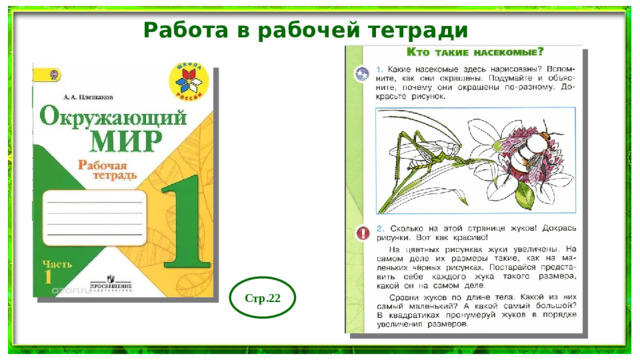 Работа в рабочей тетради Стр.22