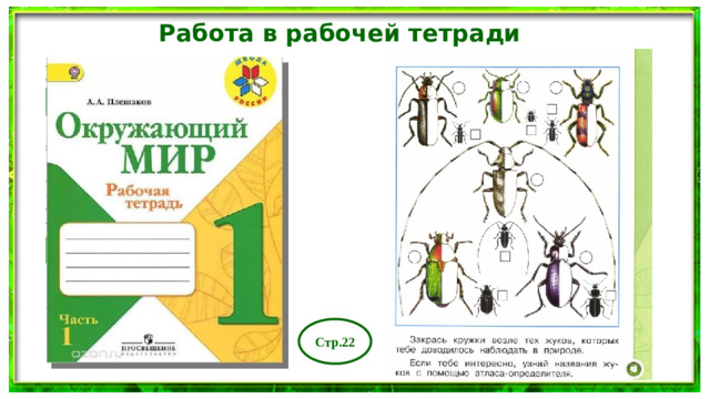 Работа в рабочей тетради Стр.22