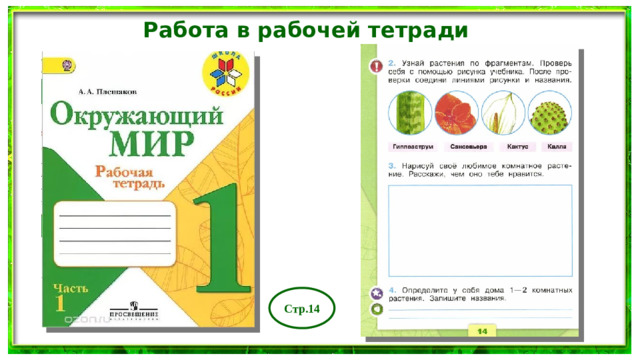 Работа в рабочей тетради Стр.14