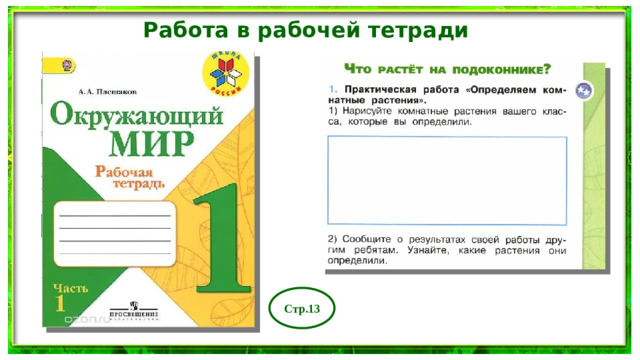 Работа в рабочей тетради Стр.13