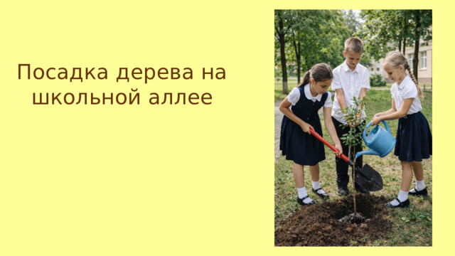 Посадка дерева на школьной аллее