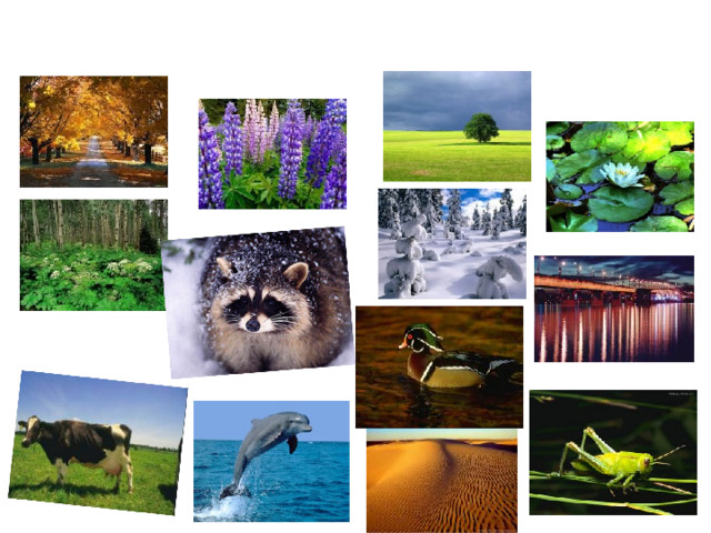 Вот такая наша планета – Земля.