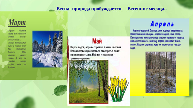 Весна- природа пробуждается Весенние месяца..