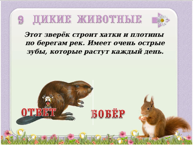 Этот зверёк строит хатки и плотины по берегам рек. Имеет очень острые зубы, которые растут каждый день. 3