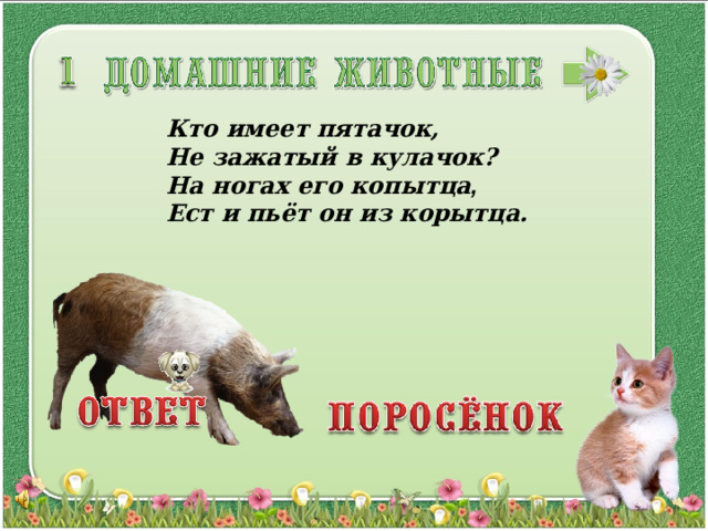Кто имеет пятачок, Не зажатый в кулачок? На ногах его копытца ,  Ест и пьёт он из корытца. 3