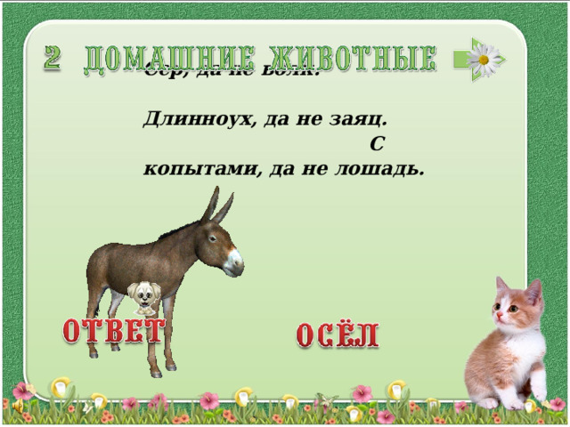 Сер, да не волк. Длинноух, да не заяц. С копытами, да не лошадь.  3