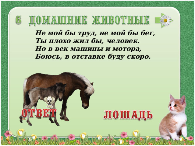 Не мой бы труд, не мой бы бег, Ты плохо жил бы, человек. Но в век машины и мотора, Боюсь, в отставке буду скоро. 3