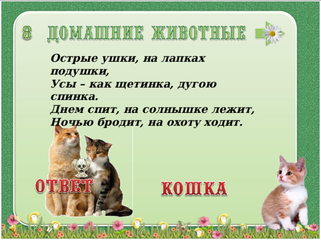 Острые ушки, на лапках подушки,  Усы – как щетинка, дугою спинка.  Днем спит, на солнышке лежит,  Ночью бродит, на охоту ходит. 3