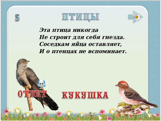 Эта птица никогда Не строит для себя гнезда. Соседкам яйца оставляет, И о птенцах не вспоминает.