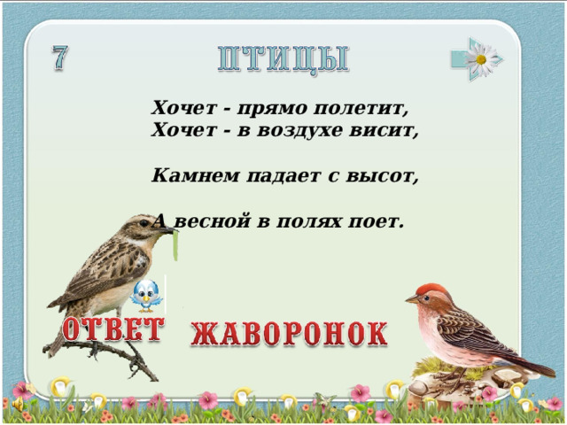Хочет - прямо полетит,  Хочет - в воздухе висит,  Камнем падает с высот,  А весной в полях поет.