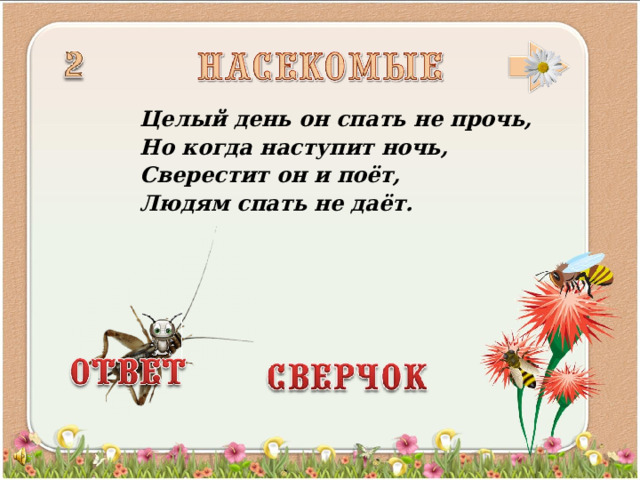 Целый день он спать не прочь, Но когда наступит ночь, Сверестит он и поёт, Людям спать не даёт.