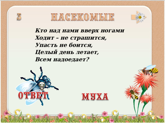 Кто над нами вверх ногами Ходит – не страшится, Упасть не боится, Целый день летает, Всем надоедает?