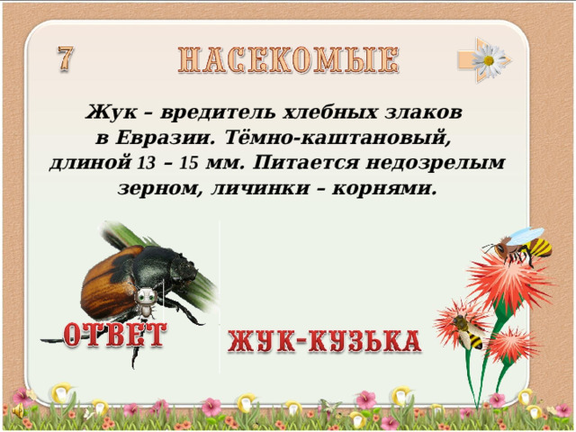 Жук – вредитель хлебных злаков в Евразии. Тёмно-каштановый, длиной 13 – 15 мм. Питается недозрелым зерном, личинки – корнями.