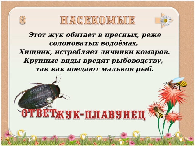 Этот жук обитает в пресных, реже солоноватых водоёмах. Хищник, истребляет личинки комаров. Крупные виды вредят рыбоводству, так как поедают мальков рыб.