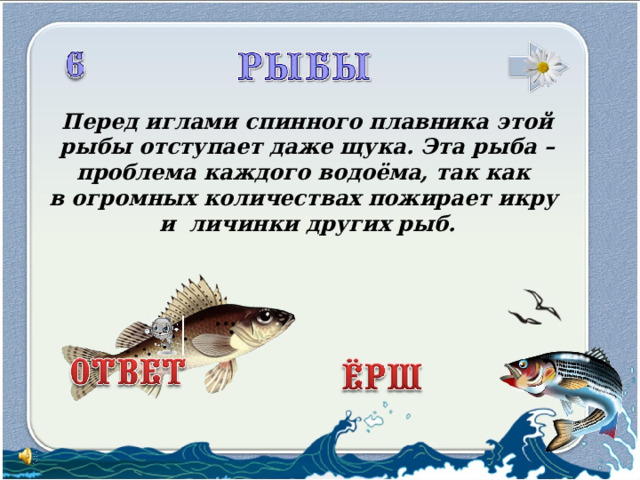 Перед иглами спинного плавника этой рыбы отступает даже щука. Эта рыба – проблема каждого водоёма, так как в огромных количествах пожирает икру и личинки других рыб.