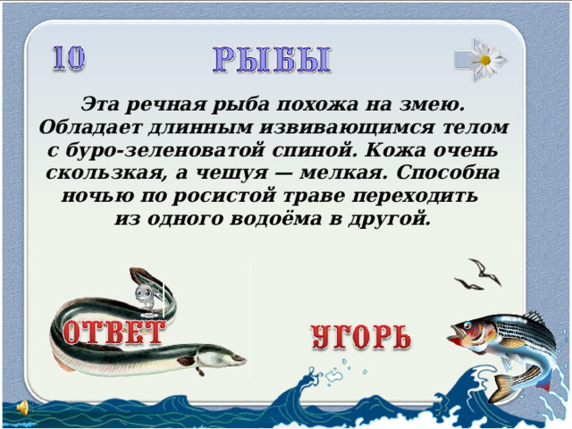 Эта речная рыба похожа на змею. Обладает длинным извивающимся телом с буро-зеленоватой спиной. Кожа очень скользкая, а чешуя — мелкая. Способна ночью по росистой траве переходить из одного водоёма в другой. 3