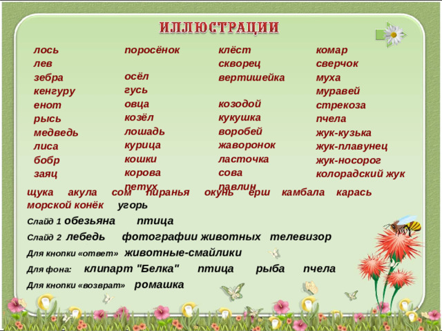 лось  лев  зебра  кенгуру  енот  рысь  медведь лиса  бобр  заяц  поросёнок  осёл  гусь  овца  козёл  лошадь  курица  кошки  корова  петух  клёст  скворец  вертишейка  козодой   кукушка воробей  жаворонок  ласточка  сова  павлин комар сверчок  муха  муравей  стрекоза  пчела  жук-кузька жук-плавунец  жук-носорог  колорадский жук  щука  акула  сом  пиранья  окунь  ёрш  камбала  карась  морской конёк   угорь Слайд 1  обезьяна птица  Слайд 2  лебедь  фотографии животных телевизор Для кнопки «ответ» животные-смайлики Для фона:  клипарт 