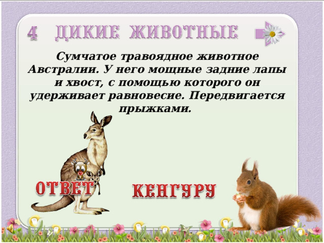 Сумчатое травоядное животное Австралии. У него мощные задние лапы и хвост, с помощью которого он удерживает равновесие. Передвигается прыжками. 3