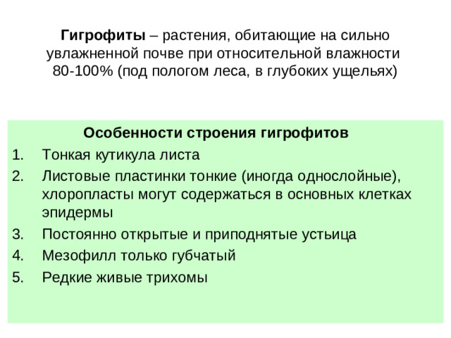 Гигрофиты – растения, обитающие на сильно увлажненной почве при относительной влажности  80-100% (под пологом леса, в глубоких ущельях)  Особенности строения гигрофитов