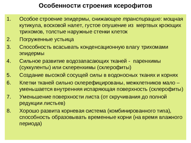 Особенности строения ксерофитов