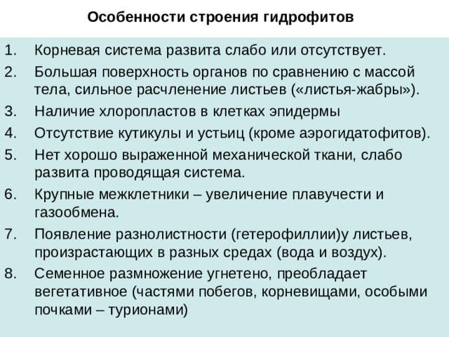 Особенности строения гидрофитов