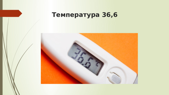 Температура 36,6