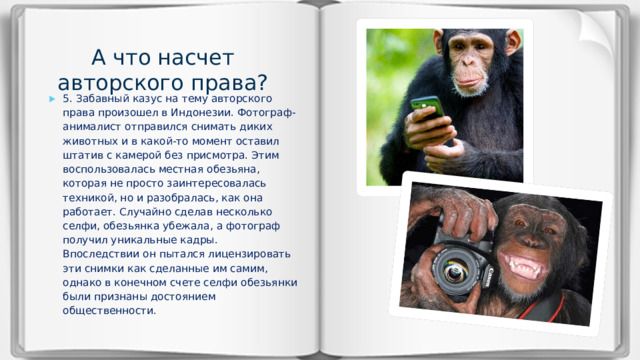 А что насчет авторского права?