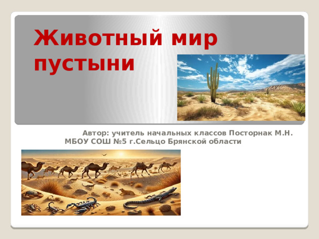 Животный мир пустыни     Автор: учитель начальных классов Посторнак М.Н. МБОУ СОШ №5 г.Сельцо Брянской области