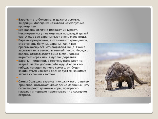 Вараны – это большие, и даже огромные, ящерицы. Иногда их называют «сухопутные крокодилы». Все вараны отлично плавают и ныряют. Некоторые могут находиться под водой целый час! А еще все вараны пьют очень мало воды. Вараны прекрасные, в отличие от крокодилов, спортсмены-бегуны. Вараны, как и все пресмыкающиеся, откладывают яйца. Самка зарывает их в землю, в теплый песок. Нередко вараны откладывают яйца в специально вырытых норах или в дуплах деревьев. Вараны – хищники, а поэтому нападают на зверей, чтобы добыть себе еду. А если кто-нибудь нападет на него самого, он будет защищаться изо всех сил: надуется, зашипит забьет сильным хвостом.   Самых больших варанов, похожих на страшных драконов, называют «комодские драконы». Эти гиганты роют длинные норы, прекрасно плавают и нередко переплывают на соседние острова.