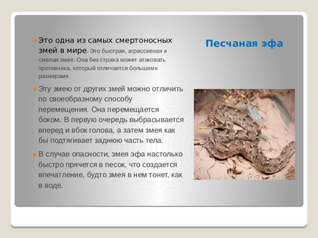 Песчаная эфа