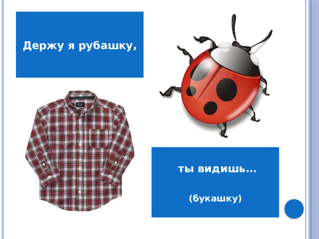 Держу я рубашку,  ты видишь…  (букашку)