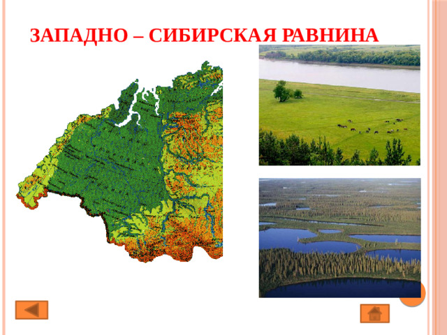 Западно – Сибирская равнина