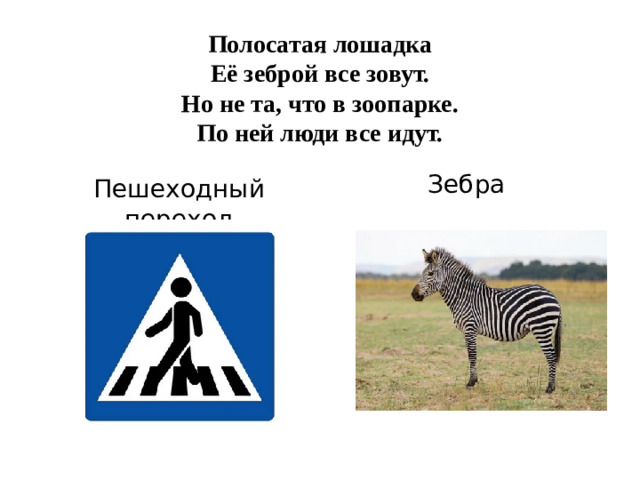Полосатая лошадка  Её зеброй все зовут.  Но не та, что в зоопарке.  По ней люди все идут. Зебра Пешеходный переход