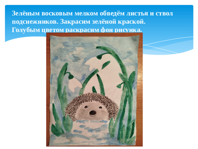 Зелёным восковым мелком обведём листья и ствол подснежников. Закрасим зелёной краской.  Голубым цветом раскрасим фон рисунка.