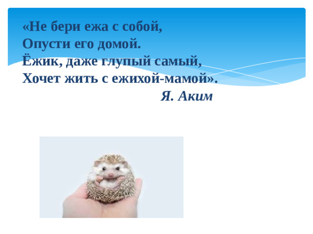 «Не бери ежа с собой,  Опусти его домой.  Ёжик, даже глупый самый,  Хочет жить с ежихой-мамой».   Я. Аким