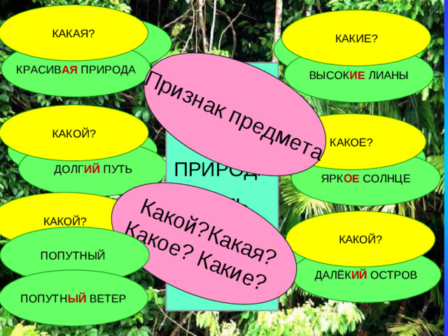 Признак предмета Какой?Какая? Какое? Какие? КАКАЯ? КАКИЕ? КРАСИВАЯ ВЫСОКИЕ КРАСИВ АЯ ПРИРОДА ВЫСОК ИЕ ЛИАНЫ ЛИАНЫ ВЕТЕР ПРИРОДА ПУТЬ СОЛНЦЕ ОСТРОВ КАКОЙ? КАКОЕ? ДОЛГИЙ ЯРКОЕ ДОЛГ ИЙ ПУТЬ ЯРК ОЕ СОЛНЦЕ а КАКОЙ? КАКОЙ? ПОПУТНЫЙ ДАЛЁКИЙ ДАЛЁК ИЙ ОСТРОВ ПОПУТН ЫЙ ВЕТЕР