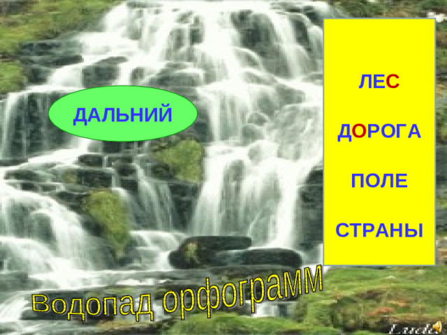 ЛЕ С Д О РОГА ПОЛЕ СТРАНЫ ДАЛЬНИЙ