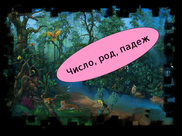 Число, род, падеж