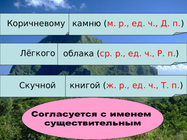 Коричневому  камню ( м. р., ед. ч., Д. п. ) Лёгкого облака ( ср. р., ед. ч., Р. п. ) Скучной  книгой ( ж. р., ед. ч., Т. п. )