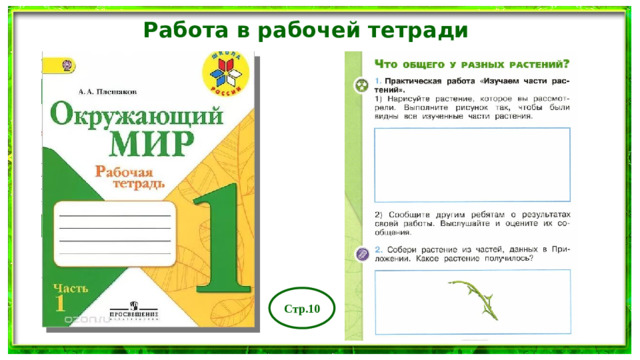Работа в рабочей тетради Стр.10