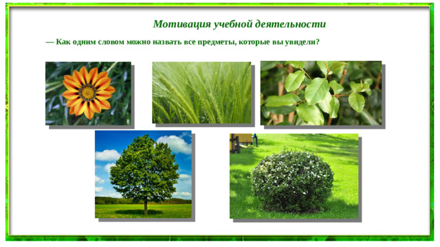 Мотивация учебной деятельности — Как одним словом можно назвать все предметы, которые вы увидели?