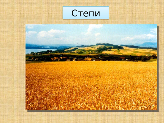 Степи