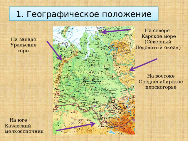 1. Географическое положение На севере  Карское море (Северный Ледовитый океан) На западе Уральские горы На востоке Среднесибирское плоскогорье  На юге Казахский мелкосопочник