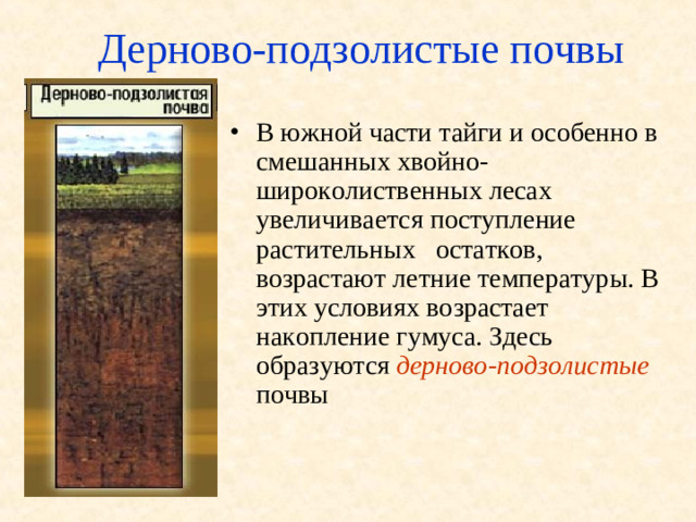 Дерново-подзолистые почвы